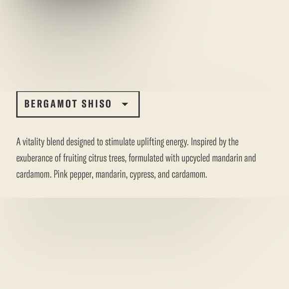 Bergamot Shiso - Alchemy Candle - Picture 6 of 9